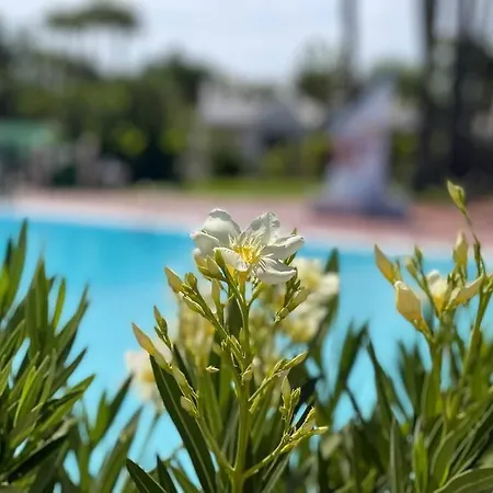 Cozy & Modern W/private Garden Bbq+wifi Apartamento
